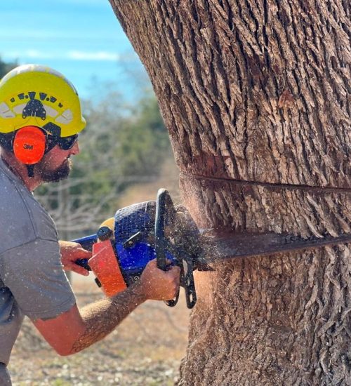 Why_Choose_J_J_Tree_Care