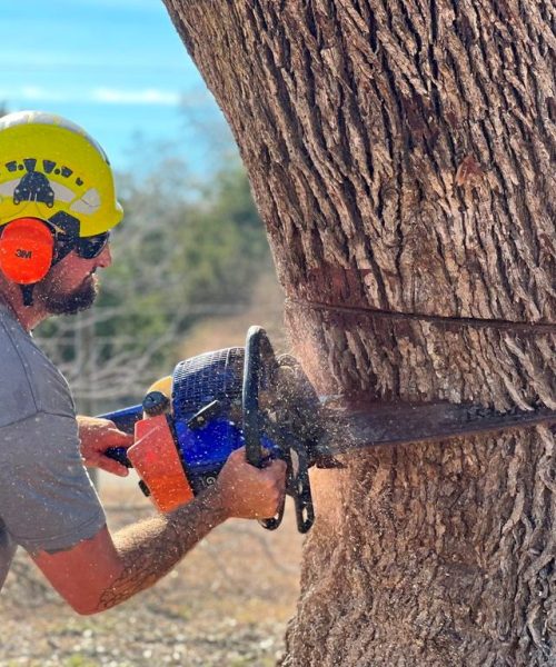 Why_Choose_J_J_Tree_Care