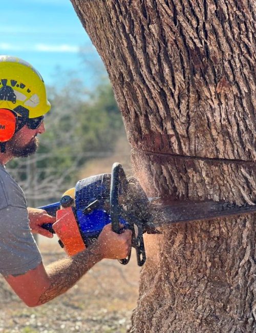 Why_Choose_J_J_Tree_Care
